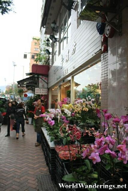 Row of Flower Shops are the Flower Market in Hong Kong