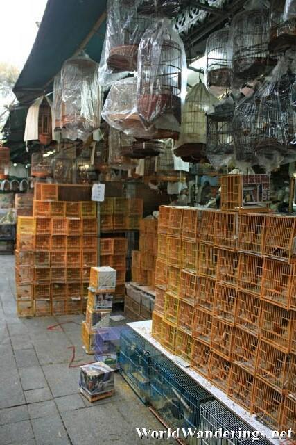 Bird Cages at Yuen Po Bird Market