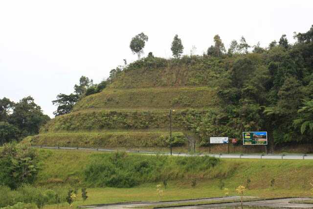View of the Hillsides in Cameron Highlands