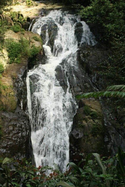 A Look at Robinson's Falls in Cameron Highlands