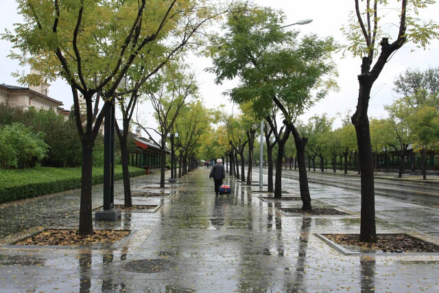 Pleasant Walkway to the Summer Palace