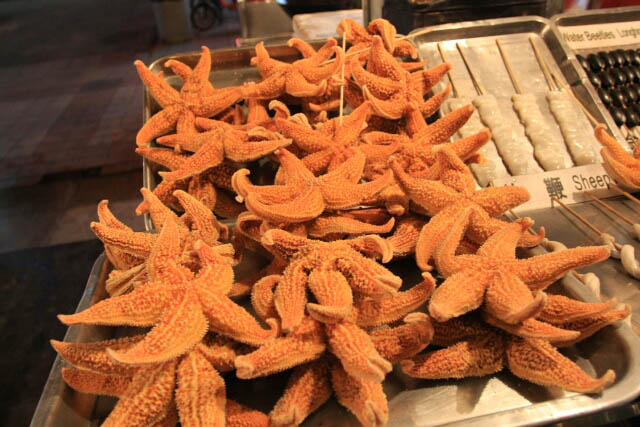 Starfish Anyone?