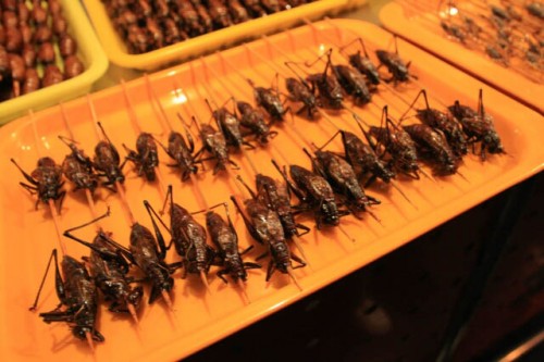 Some Kind of Insect at Donghuamen Night Market