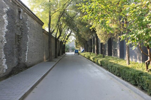 Tree Covered Lanes of Shuitan Hutong 水潭胡同