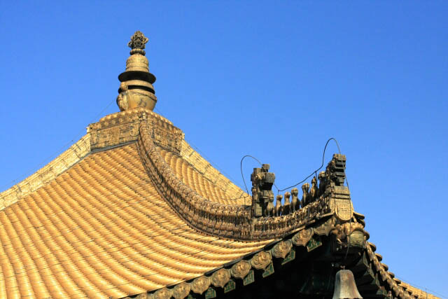 Detail on the Roof of the Wanfaguiyi Hall 万发归一