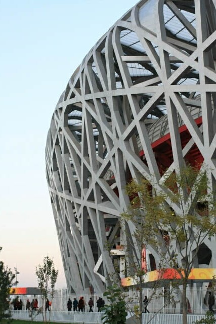 Detail on the Beijing National Stadium 北京国家体育场
