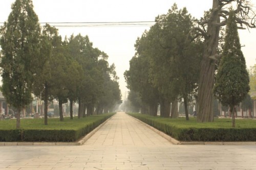 Tree Lined Walkway to the Confucius Forest 孔林