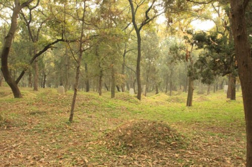 Mounds at the Confucius Forest 孔林