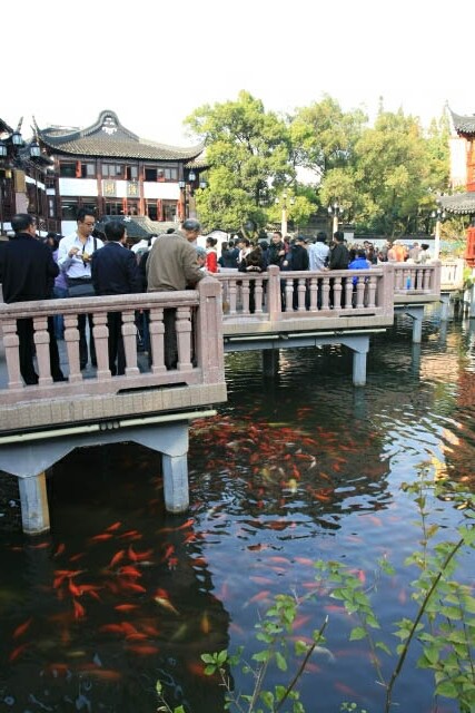 Relaxing Afternoon at the Yuyuan Gardens 豫园