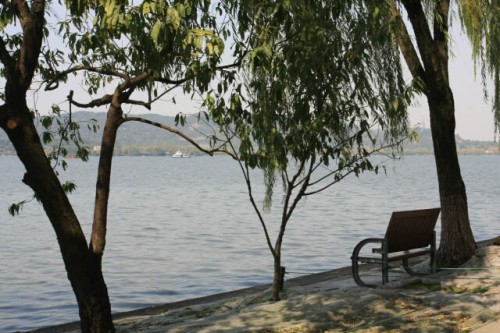 Relaxing On the Shores of the West Lake 西湖