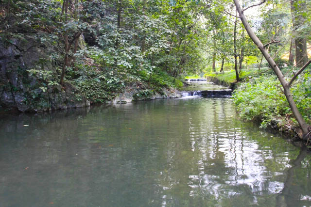Nice and Peaceful Stream at the Lingyin-Feilai Feng Scenice Area
