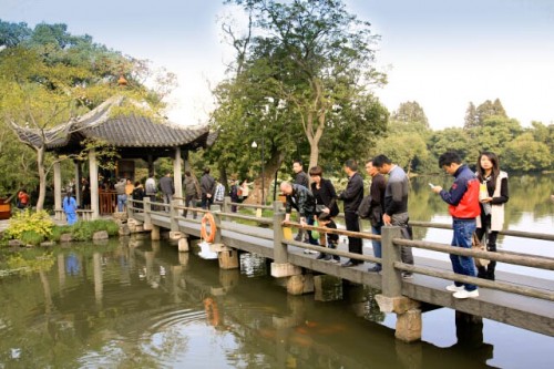 Visitors Observing the Numerous Carp in the Ponds