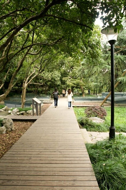 Boardwalk at Zhongshan Park 中山公园 in Hangzhou 杭州