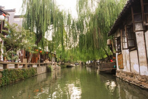 Willow Trees Decorate the Banks of the Waterway in Zhou Zhuang  周庄