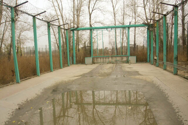 Through the First Gate of the Siberian Tiger Park 东北虎林园