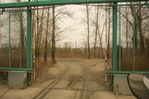 What Lies Beyond the Second Gate at the Siberian Tiger Park 东北虎林园