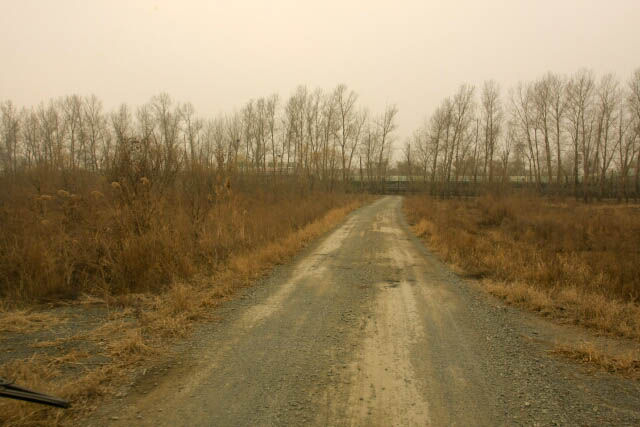 Desolate Trail in the Siberian Tiger Park 东北虎林园