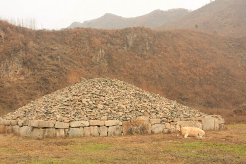 Cow Stands Guard at a Tomb at the Wandu Mountain City 丸都山城