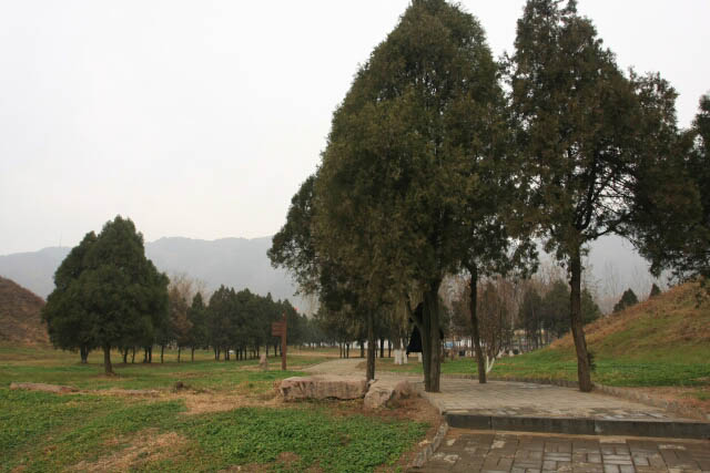 Walking Through the Yushan Noblemen Cemetery