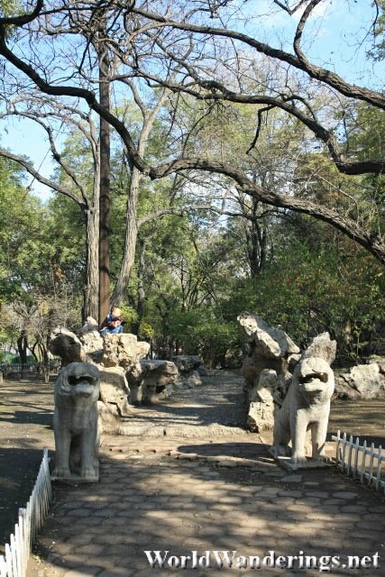 Entrance to Yingze Park 迎泽公园