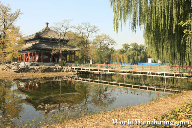 A Pavillion at the Yuanmingyuan Park 圆明园