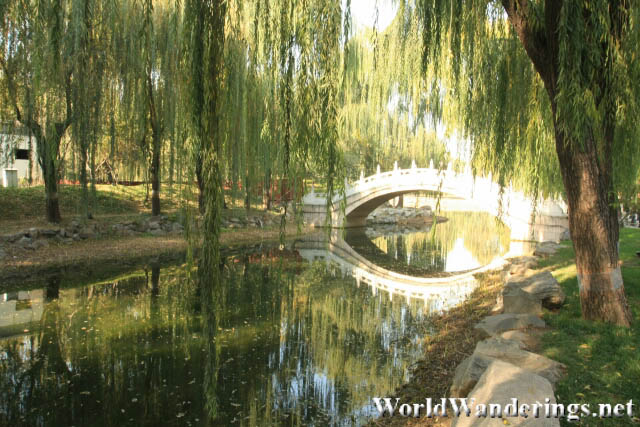 Stream with a Chinese Bridge in the Yuanmingyuan Park 圆明园