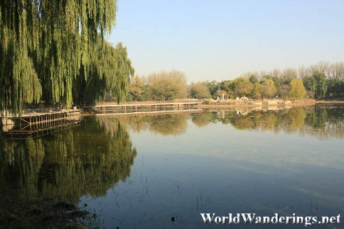 Blue Sky Reflects on the Waters of a Lake in Yuanmingyuan Park 圆明园