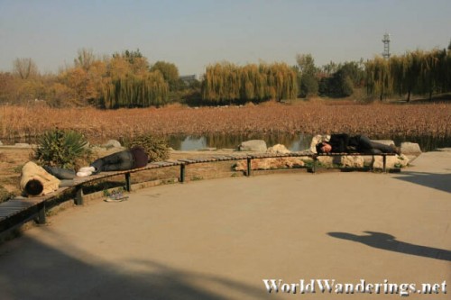 Relaxing at Yuanmingyuan Park 圆明园