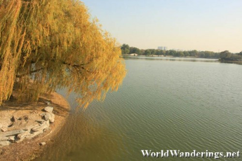 Beautiful Fuhai Lake at Yuanmingyuan Park 圆明园