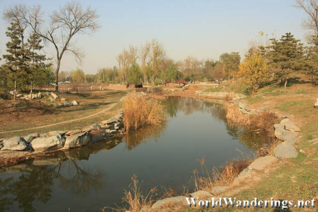Quiet and Desolate Stream in Yuanmingyuan Park 圆明园