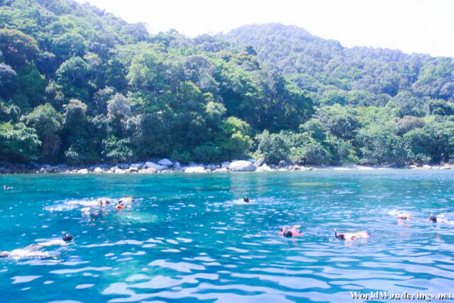 Visitors Snorkeling in the Crystal Clear Waters Near Turtle Beach