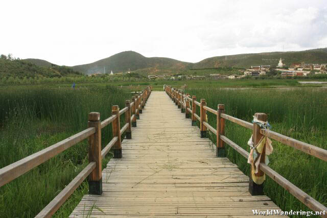Wooden Walkway to the Lake Shore