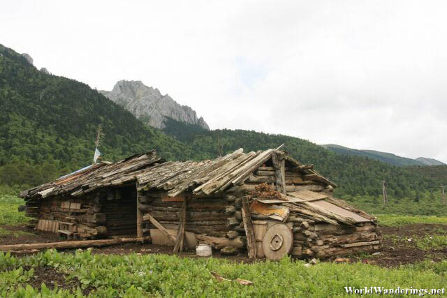 Log Cabin at Shika Snow Mountain 石卡雪山