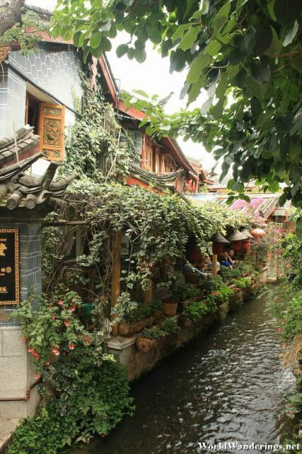 Delightful Dining by the Waterway at Lijiang Ancient Town 丽江古城