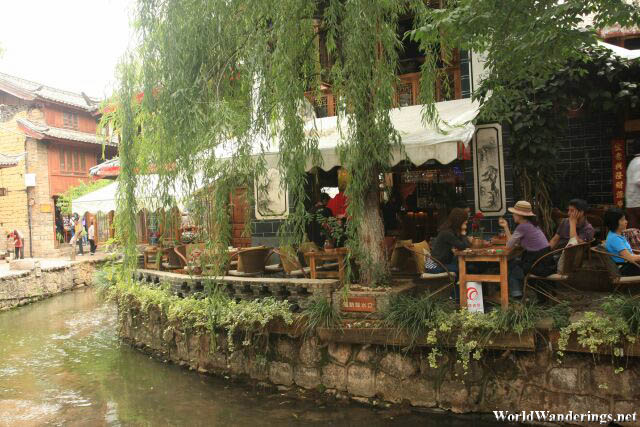 Willow Trees Enhance the Beauty of the Lijiang Ancient Town 丽江古城