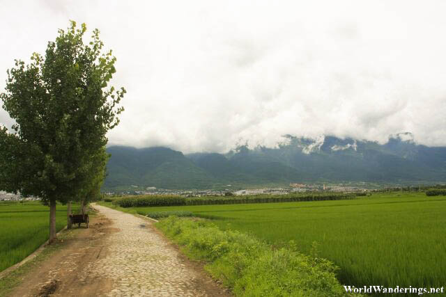 Looking Back at Dali and the Cangshan Mountains