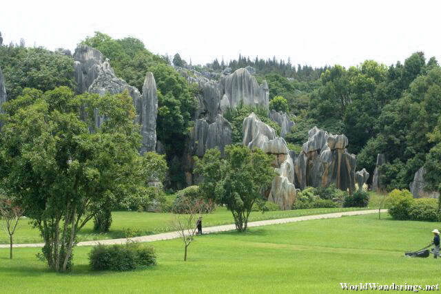 Nicely Trimmed Grass at the Stone Forest 石林 at Yunnan 云南