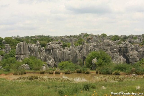 Rocks as Far as the Eye Can See at the Stone Forest 石林 in Yunnan 云南