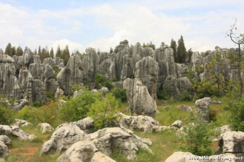 Impressive Karst Formation at the Stone Forest 石林 in Yunnan 云南