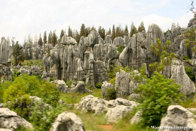 Dense Karst at the Stone Forest 石林 in Yunnan 云南