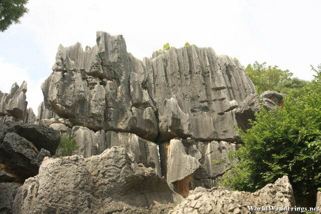Some Karst Up Close at the Stone Forest 石林