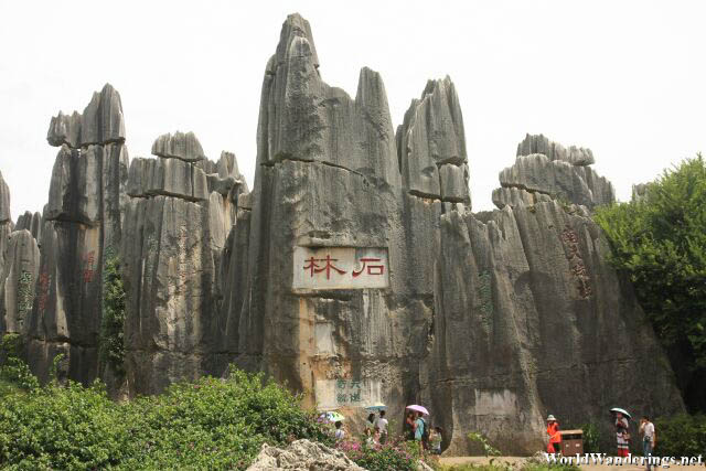 Stone Forest Carved into the Rock Face