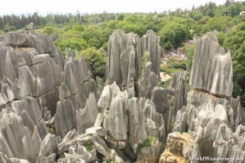 View of the Karst of the Stone Forest from Above