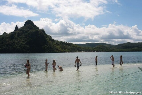 Visitors Enjoying the Beauty of Snake Island