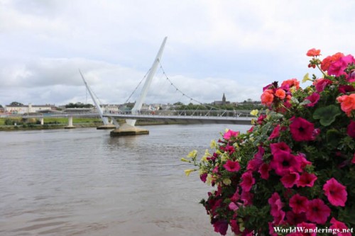 Peace Bridge Across the River Foyle in Derry-Londonderry