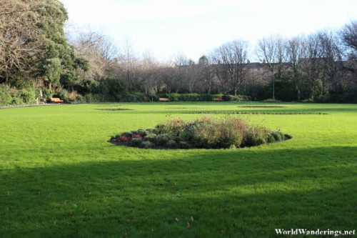 Closer Look at Merrion Park in Dublin