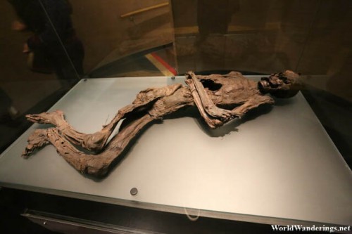 Preserved Corpse at the National Museum of Ireland
