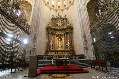 Elegant Altar of the Cathedral of Segovia