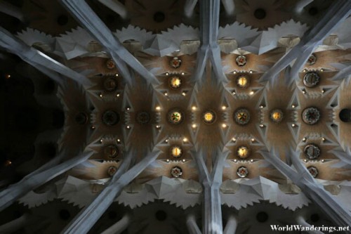 Like Looking at the Sky in the Sagrada Familia Basilica in Barcelona