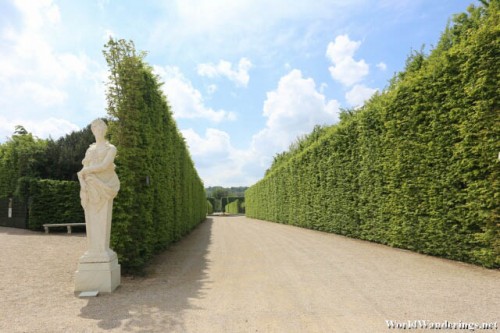 Very Tall Hedges at the Gardens of Versailles